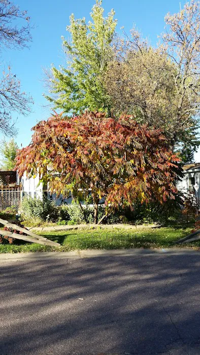 Carriage Villa Picture 1