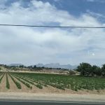 St John Mobile Home Park