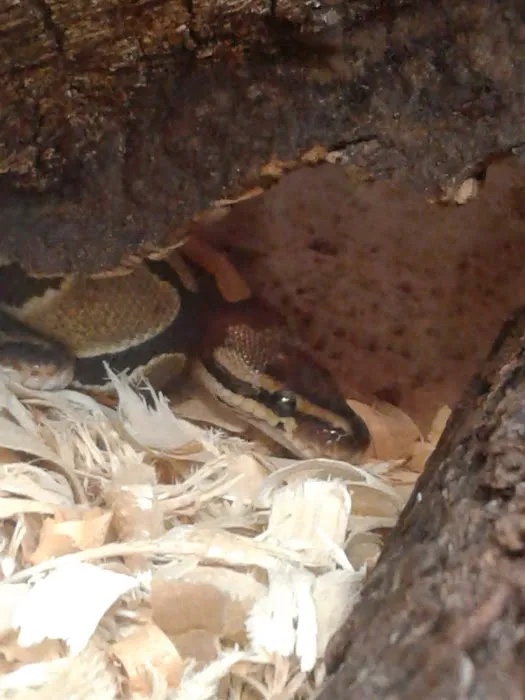 St John Mobile Home Park Picture 9