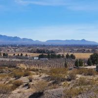 Terrace Hill Park ico