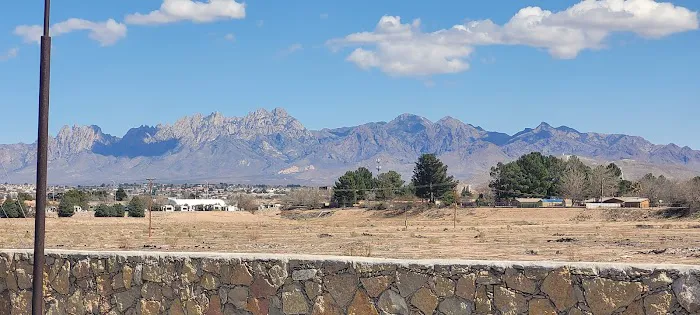 Siesta RV Park Picture 6