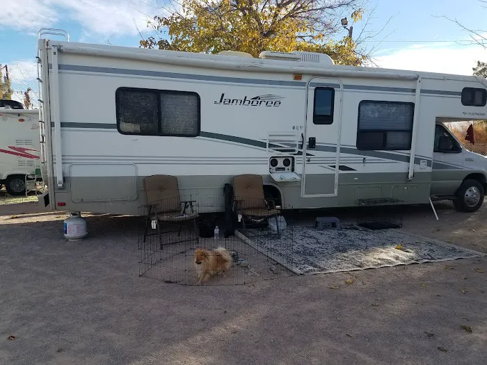 Siesta RV Park Picture 4
