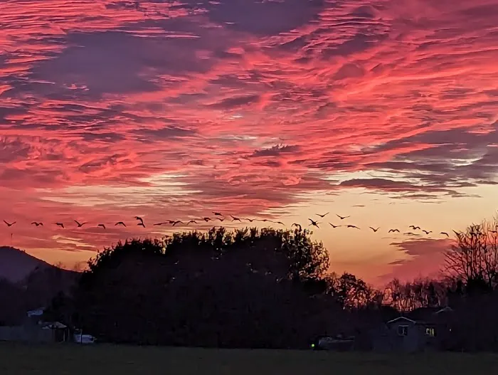 Ridge Crest MHP Picture 2