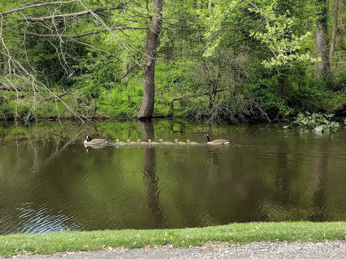 WaterSide Campground & RV Park Picture 6