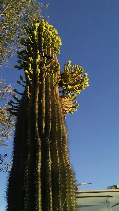 Skyline RV Resort Picture 4