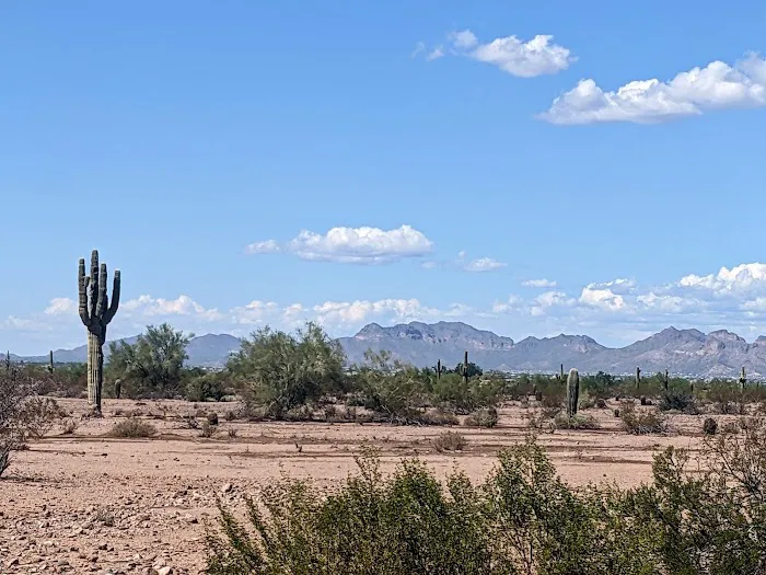 Canyon Vistas RV Resort Picture 10