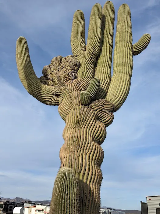 Arizonian RV Resort Picture 1