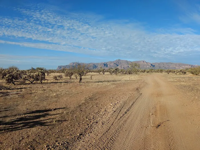 Arizonian RV Resort Picture 5
