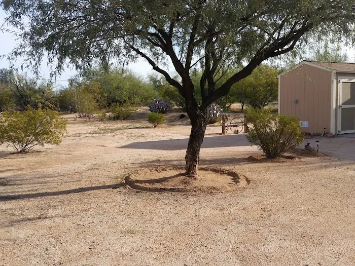 Desert Gardens RV Park Picture 6