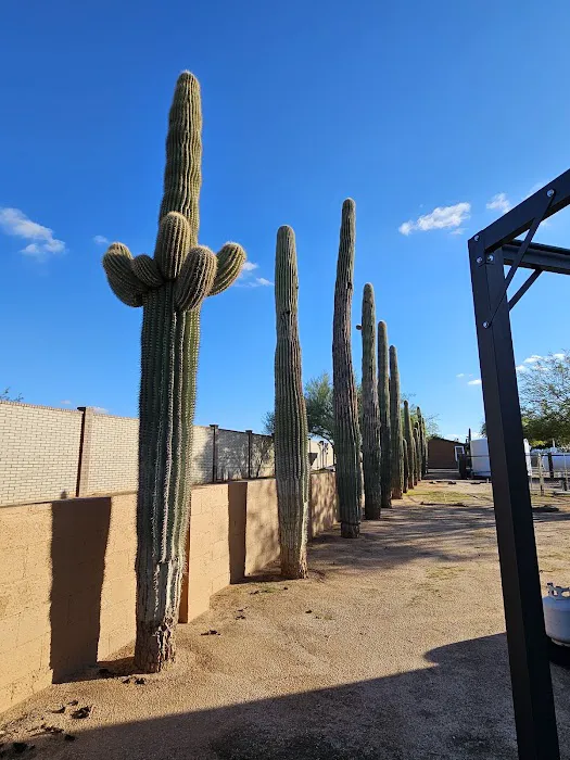 Rancho Sonora RV Park Picture 1