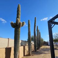 Rancho Sonora RV Park ico