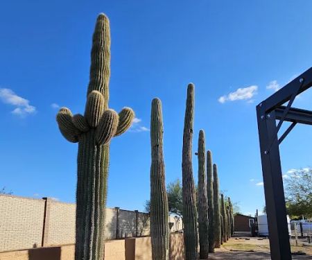 Rancho Sonora RV Park