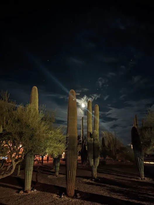 Rancho Sonora RV Park Picture 5