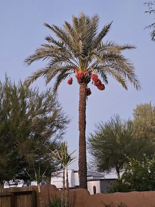 Rancho Sonora RV Park Picture 9