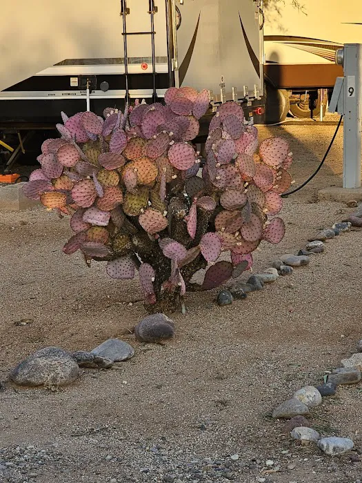 Rancho Sonora RV Park Picture 10