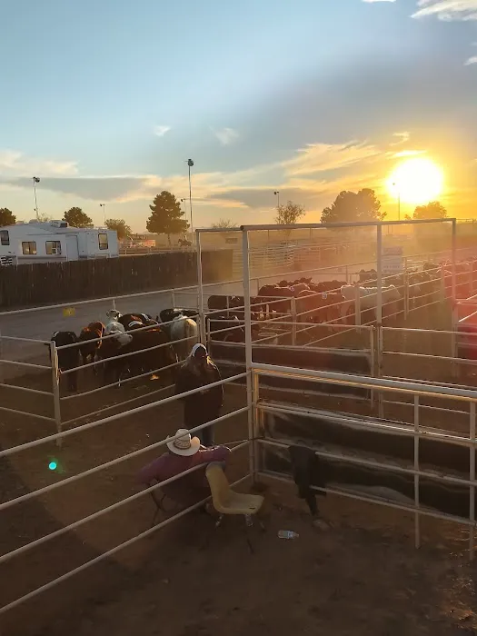 Lonestar Equestrian RV & Team Roping Camp & Ranch Sorting Picture 7