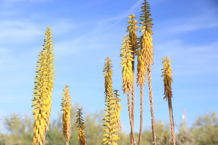 Hummingbyrd Ranch Picture 5