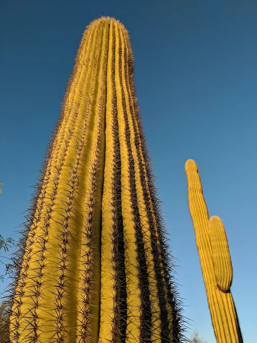 Hummingbyrd Ranch Picture 4