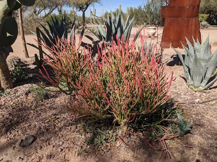 Hummingbyrd Ranch Picture 7