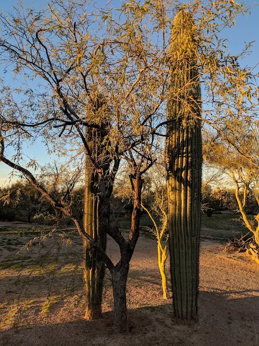 Hummingbyrd Ranch Picture 8