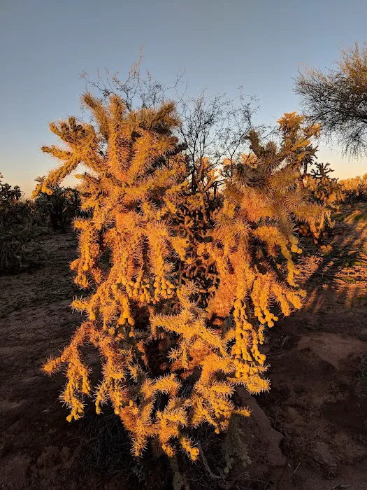 Hummingbyrd Ranch Picture 9