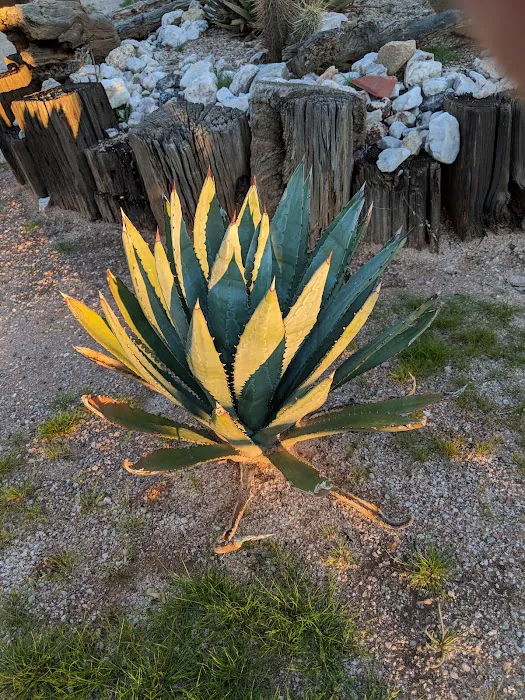 Hummingbyrd Ranch Picture 10