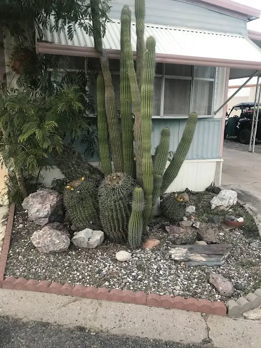 Hohokam Mobile Village Picture 9