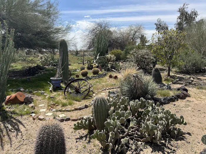 Sunscape RV Resort Picture 5