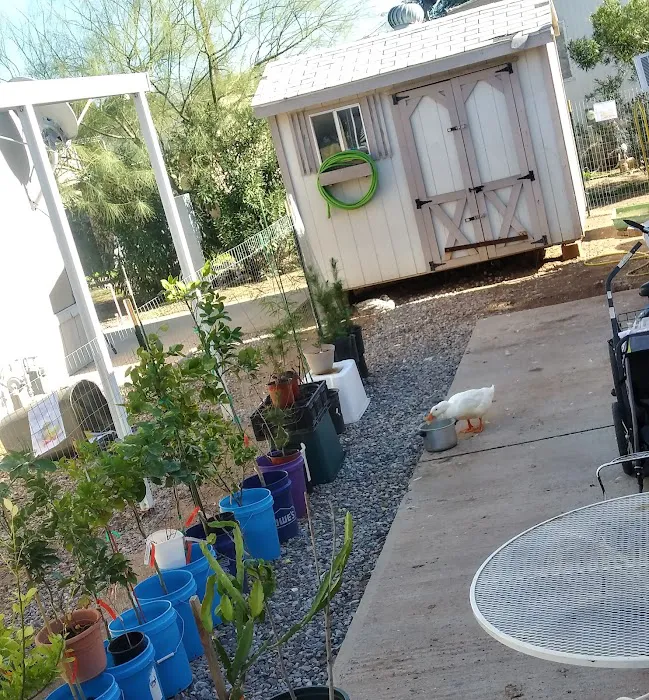 Frontier MHC ( formally Eloy Mobile Home Park ) Picture 1