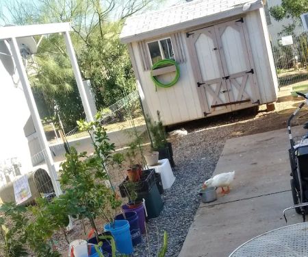 Frontier MHC ( formally Eloy Mobile Home Park )