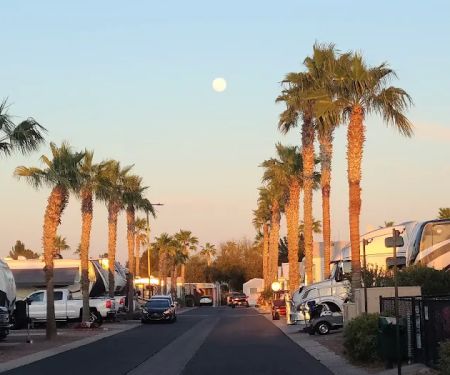 Palm Creek Golf & RV Resort (street name correction)