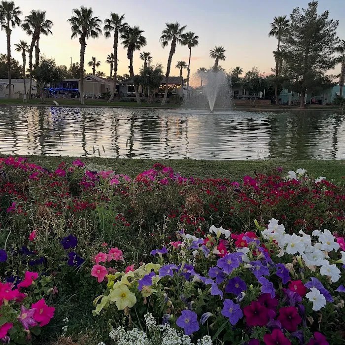 Palm Creek Golf & RV Resort (street name correction) Picture 2