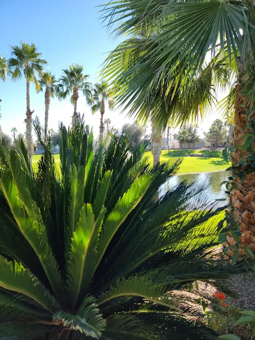 Palm Creek Golf & RV Resort (street name correction) Picture 5