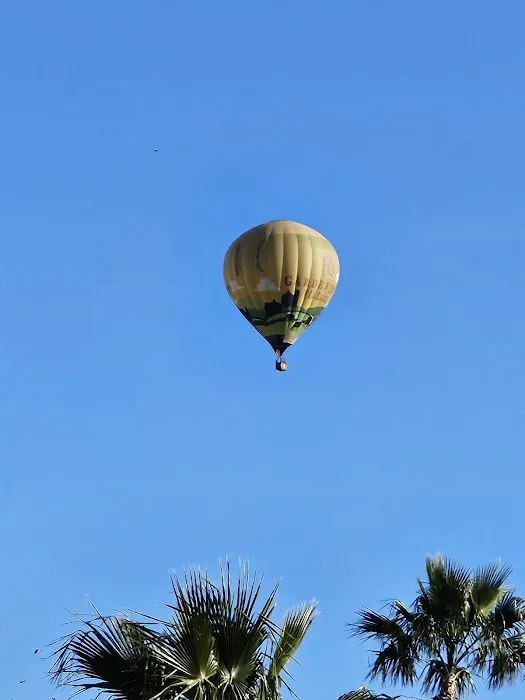 Palm Creek Golf & RV Resort (street name correction) Picture 7