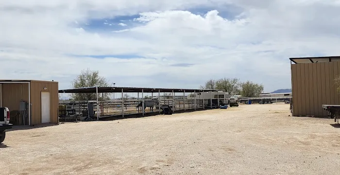 EPIC Arena RV Parking Picture 3