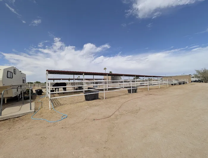 EPIC Arena RV Parking Picture 7