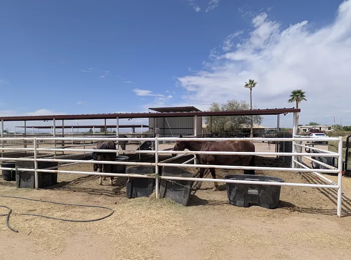 EPIC Arena RV Parking Picture 8