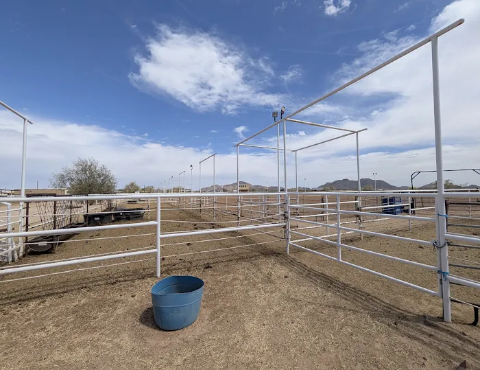 EPIC Arena RV Parking Picture 9