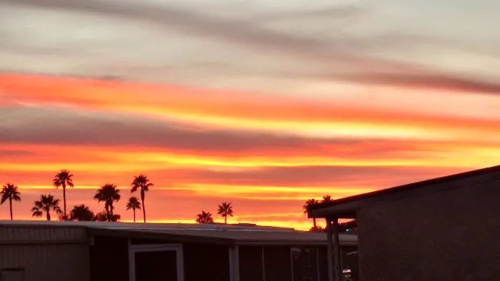 Casa Verde Estates - A 55+ Community Picture 1