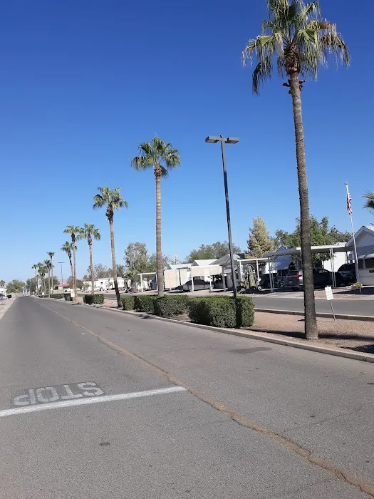 Fiesta Grande Resort Picture 7