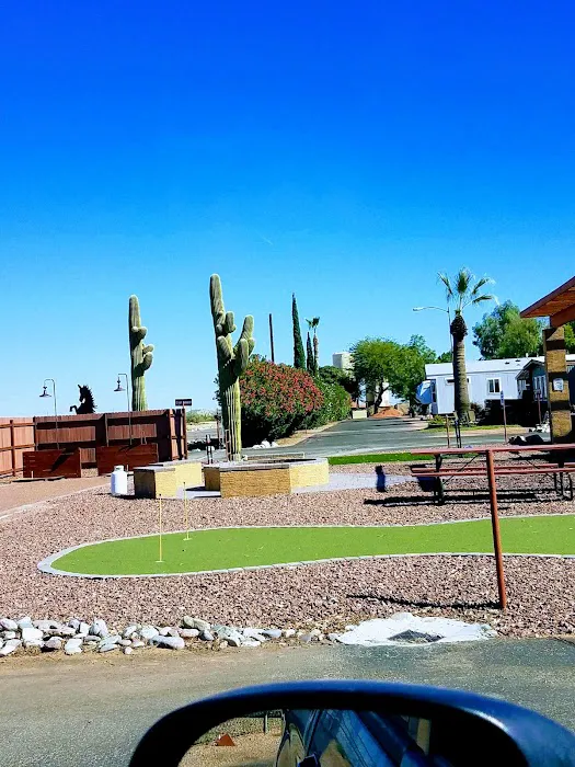 Las Colinas Motor Home-RV Resort Picture 2
