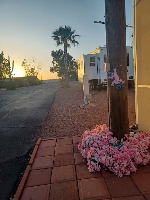 Las Colinas Motor Home-RV Resort Picture 4