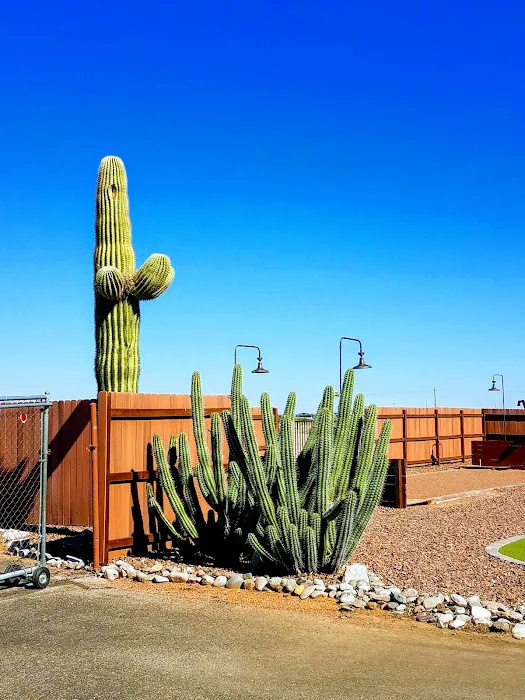 Las Colinas Motor Home-RV Resort Picture 1