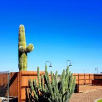 Las Colinas Motor Home-RV Resort ico