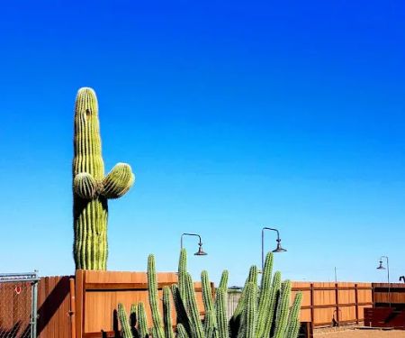 Las Colinas Motor Home-RV Resort