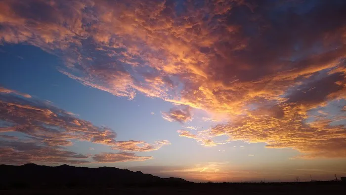 Las Colinas Motor Home-RV Resort Picture 5