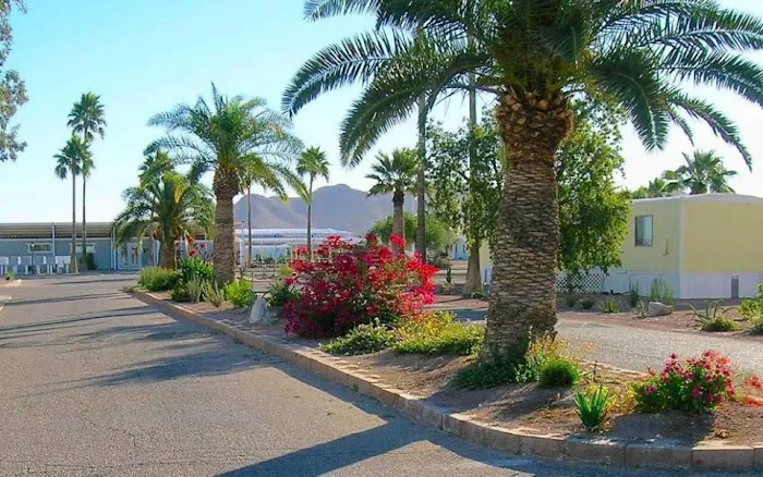 Casa Linda Mobile Home Park (formerly Las Casitas) Picture 4