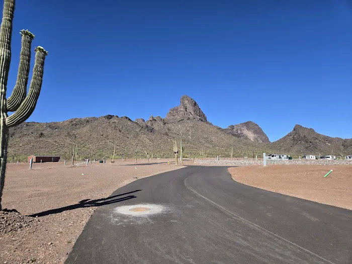Picacho Peak RV Resort Picture 2