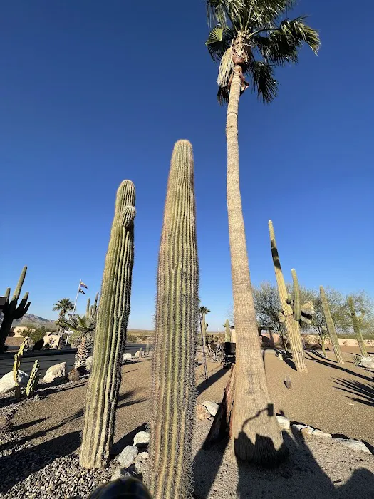 Picacho Peak RV Resort Picture 1