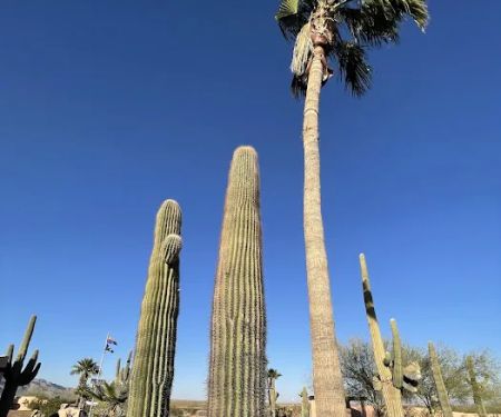 Picacho Peak RV Resort